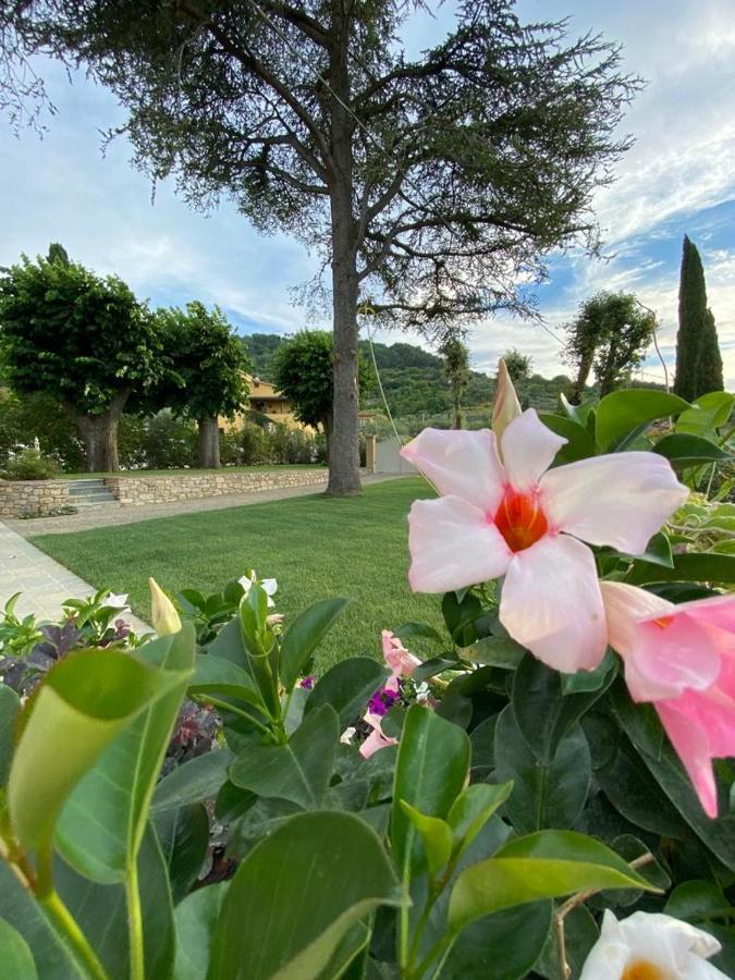 Relais Maria Cristina Bed & Breakfast Chianni Luaran gambar